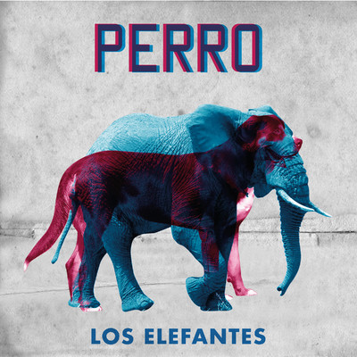 シングル/Perro/Los Elefantes