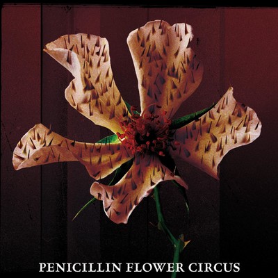 アルバム/FLOWER CIRCUS/PENICILLIN