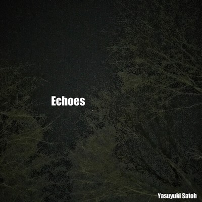 Echoes/佐藤 康之