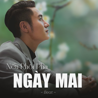 シングル/Neu Phoi Pha Ngay Mai (Beat)/Tuan Hoang