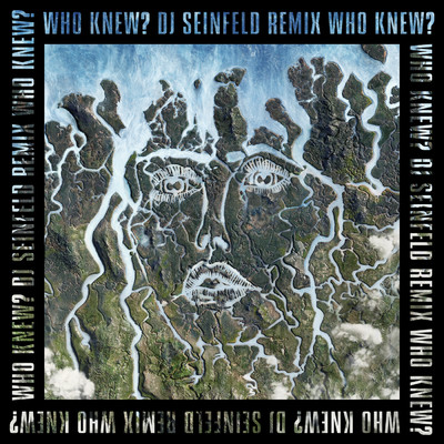 シングル/Who Knew？ (Explicit) (DJ Seinfeld Remix)/ディスクロージャー／ミック・ジェンキンス