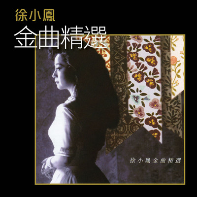 Xu Xiao Feng Jin Qu Jing Xuan/Paula Tsui