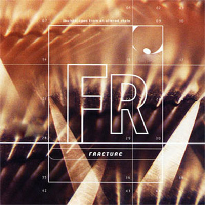 Fracture: Soundscapes from an Altered State/DJ Electro