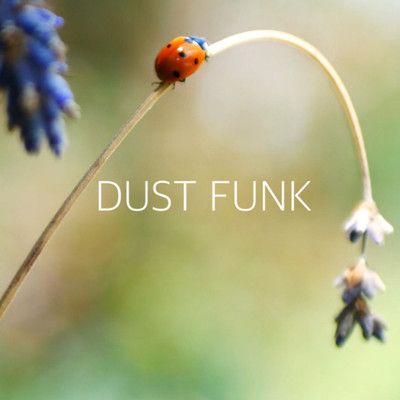 Lady Bird/Dust funk