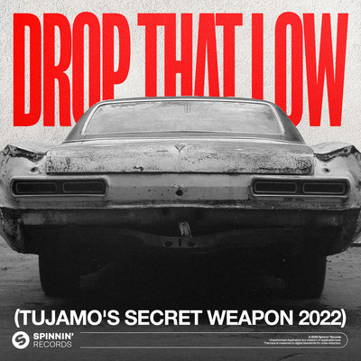 Drop That Low (Tujamo's Secret Weapon 2022) [Extended Mix]/Tujamo