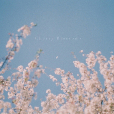 シングル/Cherry Blossoms/ナリタジュンヤ