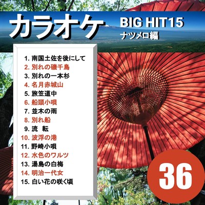 カラオケ BIG HIT 15 ナツメロ編 36/CTA カラオケ