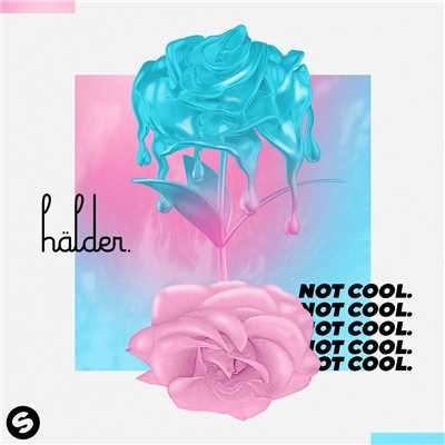 アルバム/not cool./Halder