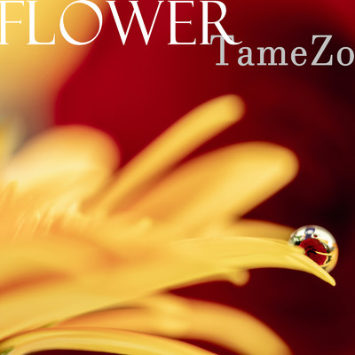 シングル/FLOWER/TameZo