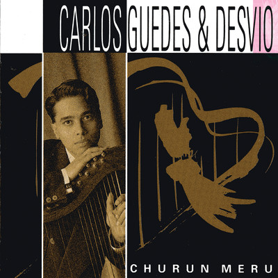 Churun Meru/Carlos Guedes／Desvio