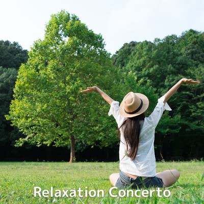 アルバム/Relaxation Concerto/Calming Chords