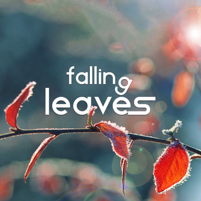 シングル/Falling Leaves/ChilledLab