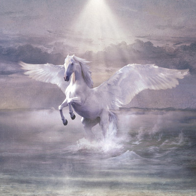 Sulle ali del cavallo bianco/Various Artists