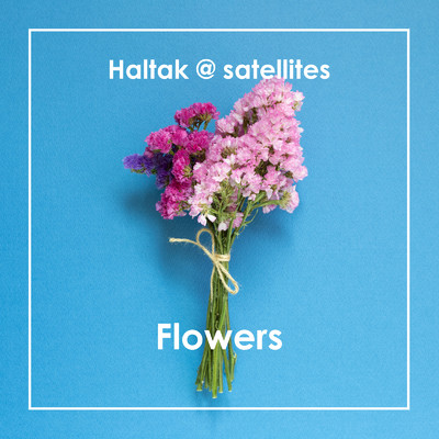 シングル/Flowers/Haltak @ satellites