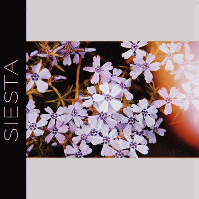 アルバム/Siesta/Imai Tomoaki