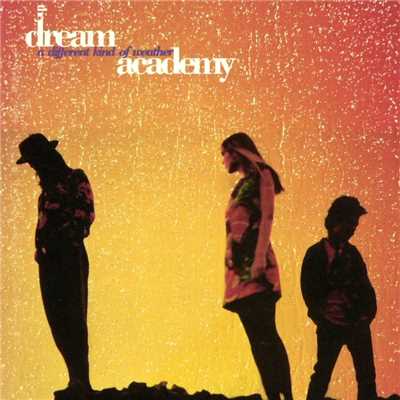 It'll Never Happen Again/The Dream Academy