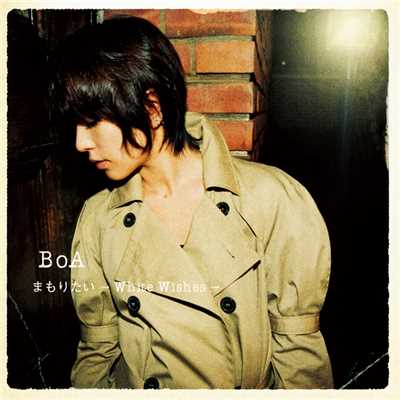 シングル/THE END そして and...(Instrumental)/BoA