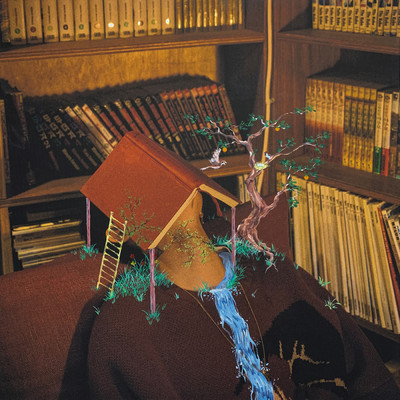 アルバム/Bookshelf (Explicit)/Modern Orange