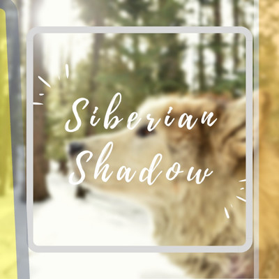 Siberian Shadow/Dr Rahul vaghela