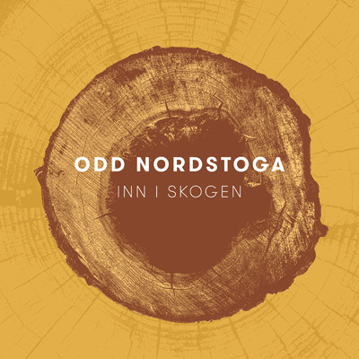Godt nok (featuring Sigrid Aase)/Odd Nordstoga