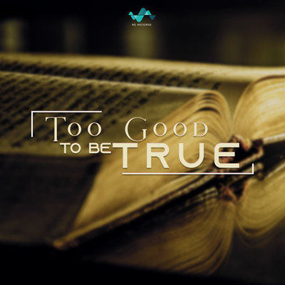 Too Good To Be True/NS Records