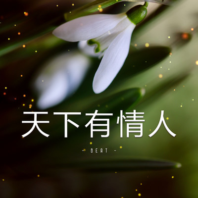 天下有情人 (Beat)/NS Records