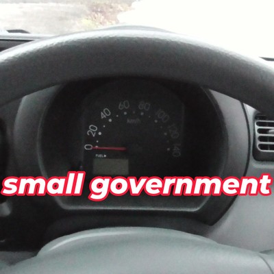 Small Government/リバタリアン