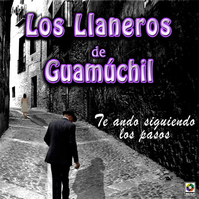 アルバム/Te Ando Siguiendo Los Pasos/Los LLaneros de Guamuchil