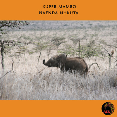 アルバム/Naenda Nhkuta/Super Mambo
