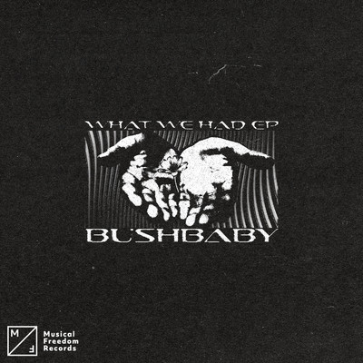 What We Had EP/Bushbaby