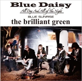 Blue Daisy/the brilliant green