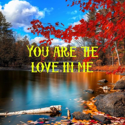 シングル/You are the love in me/Mr KEN