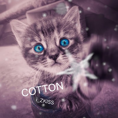 Cotton/i_ZKISS