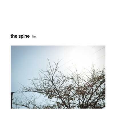 シングル/the spine/ile