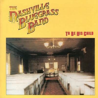 シングル/New Born Soul/The Nashville Bluegrass Band