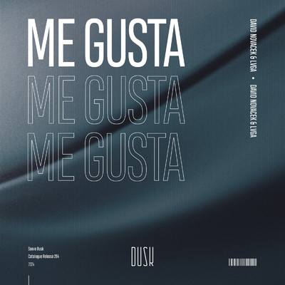 Me Gusta/David Novacek & LVGA