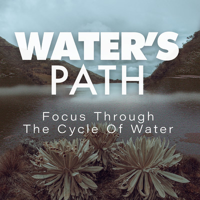 アルバム/Water's Path: Focus Through The Cycle Of Water/White Sounds