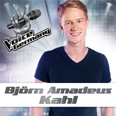 Einmal sehen wir uns wieder (From The Voice Of Germany)/Bjorn Amadeus