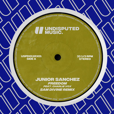 シングル/Freedom (feat. Charlie Vox) [Sam Divine Remix]/Junior Sanchez