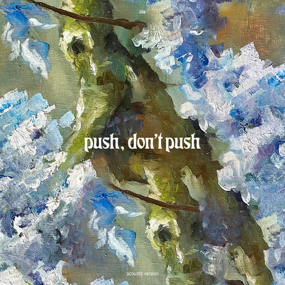 push, don't push (acoustic)/iris