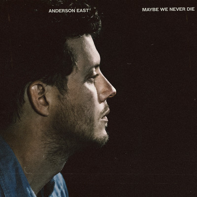 Like Nothing Ever Happened/Anderson East