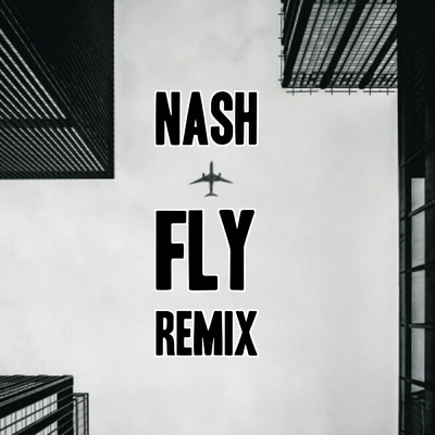 シングル/Fly (Remix)/Nash