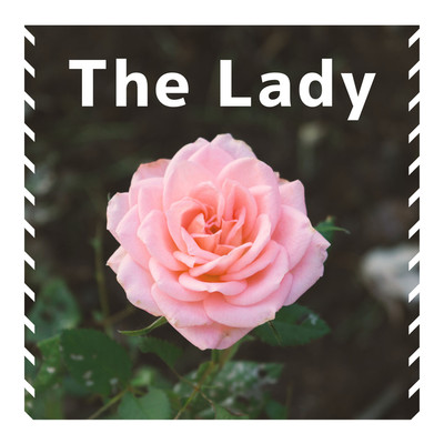 アルバム/The Lady/BTS48