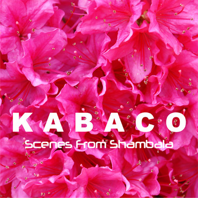 Grass Begins to Shine (Radio Edit)/KABACO