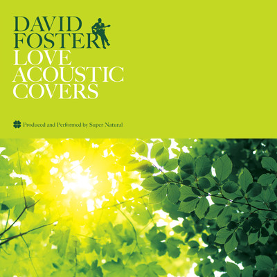 DAVID FOSTER LOVE ACOUSTIC COVERS/Super Natural