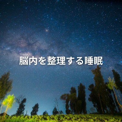 アルバム/脳内を整理する睡眠/Dream Star