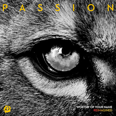 Worthy Of Your Name (featuring Sean Curran／Reimagined／LO Remix)/PASSION