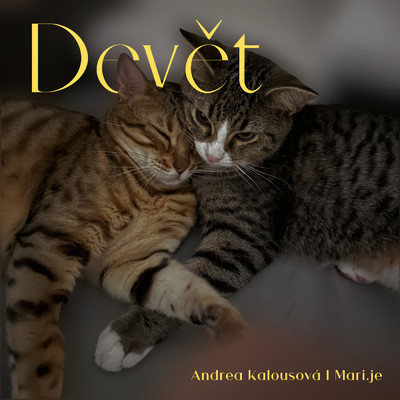 シングル/Devet (featuring MARI.JE)/Andrea Kalousova