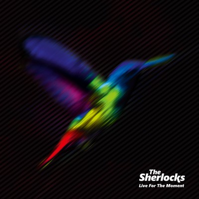 Will You Be There？/The Sherlocks