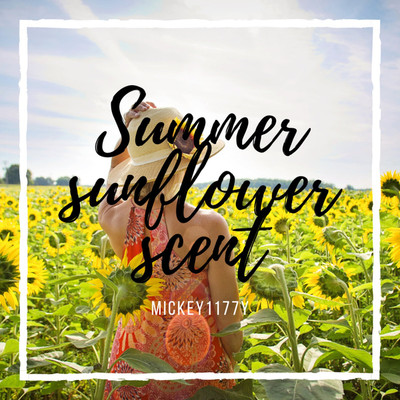 シングル/Summer sunflower scent/Mickey1177y